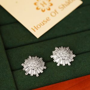 Aaliyana  Earrings-Silver